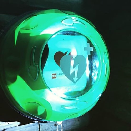 Rotaid Solid Plus External Alarmed AED Cabinet